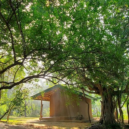 Clay Hut Village 폴로나루와 외부 사진