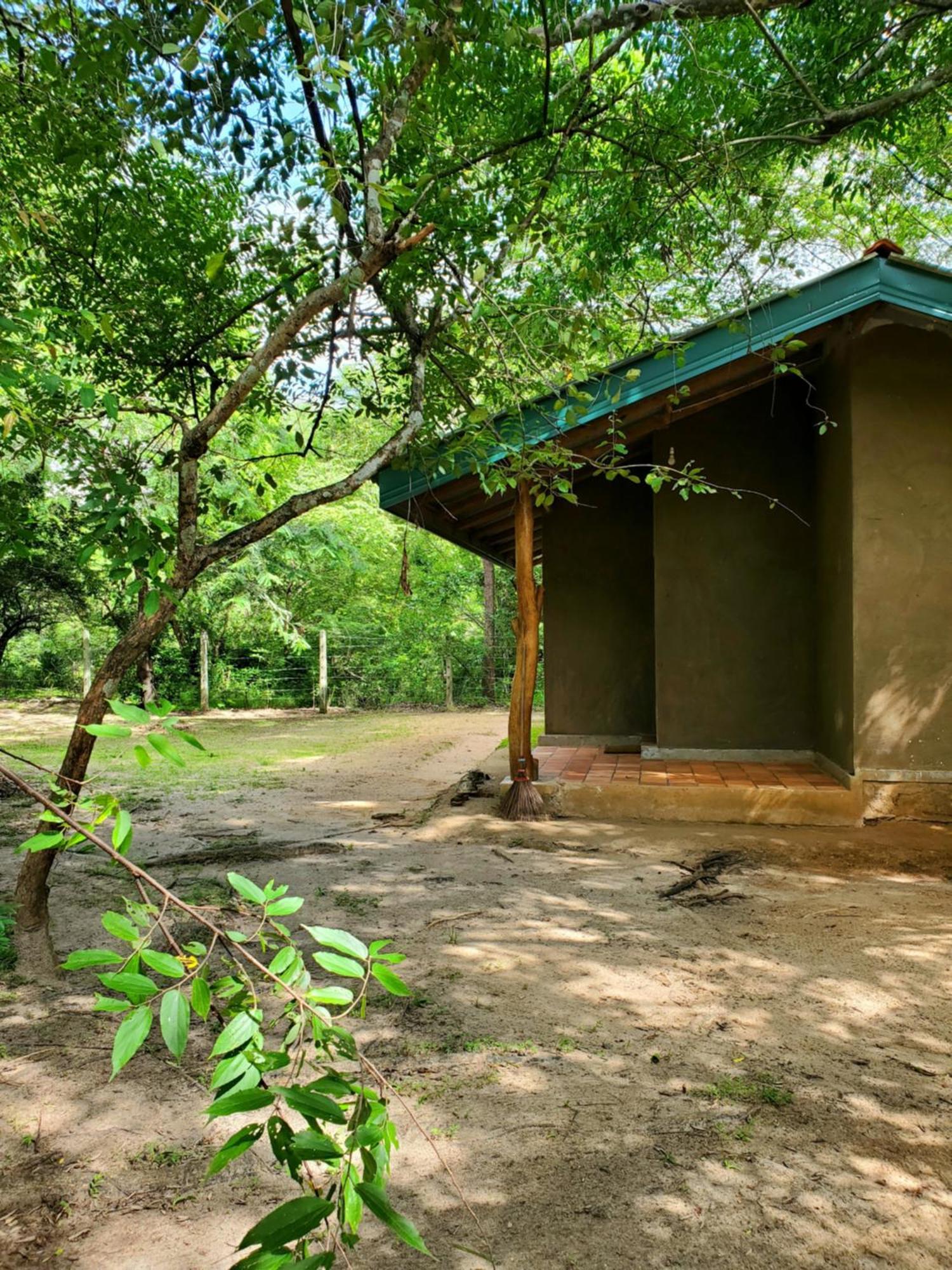 Clay Hut Village 폴로나루와 외부 사진